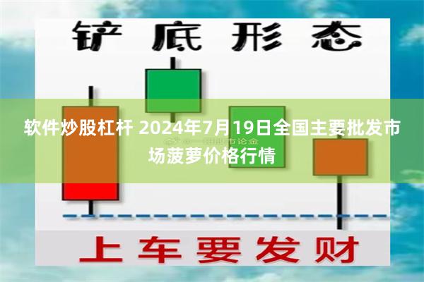 软件炒股杠杆 2024年7月19日全国主要批发市场菠萝价格行情