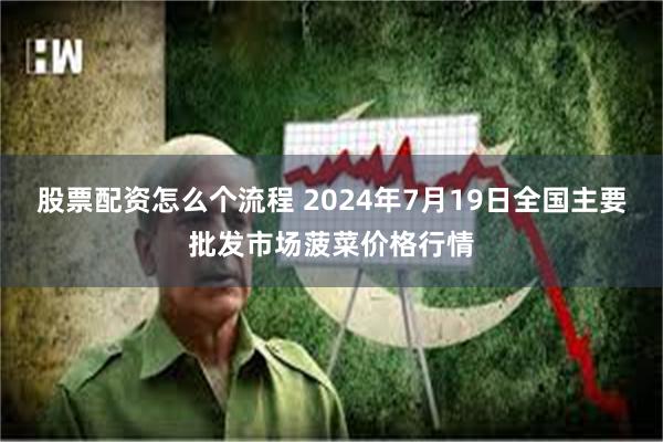 股票配资怎么个流程 2024年7月19日全国主要批发市场菠菜价格行情