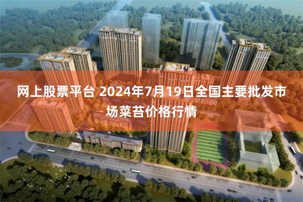 网上股票平台 2024年7月19日全国主要批发市场菜苔价格行情