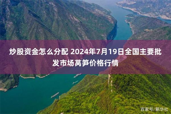 炒股资金怎么分配 2024年7月19日全国主要批发市场莴笋价格行情