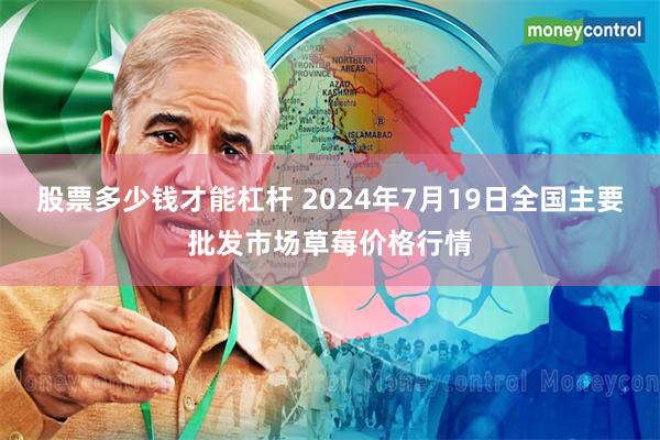 股票多少钱才能杠杆 2024年7月19日全国主要批发市场草莓价格行情