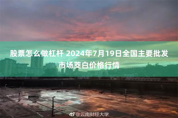 股票怎么做杠杆 2024年7月19日全国主要批发市场茭白价格行情