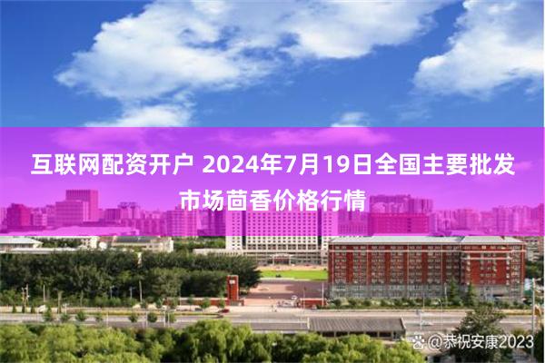 互联网配资开户 2024年7月19日全国主要批发市场茴香价格行情