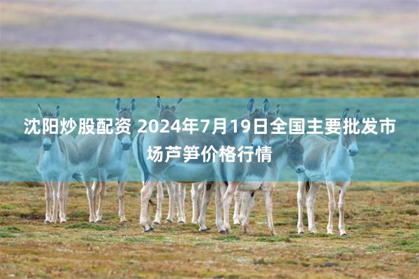 沈阳炒股配资 2024年7月19日全国主要批发市场芦笋价格行情