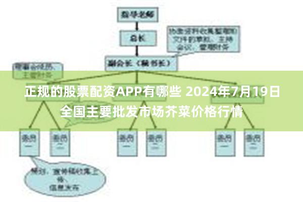 正规的股票配资APP有哪些 2024年7月19日全国主要批发市场芥菜价格行情