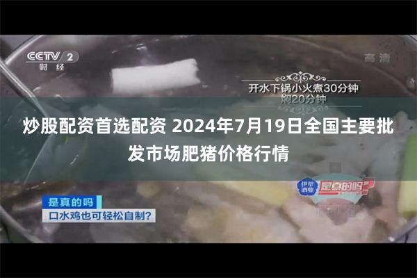 炒股配资首选配资 2024年7月19日全国主要批发市场肥猪价格行情