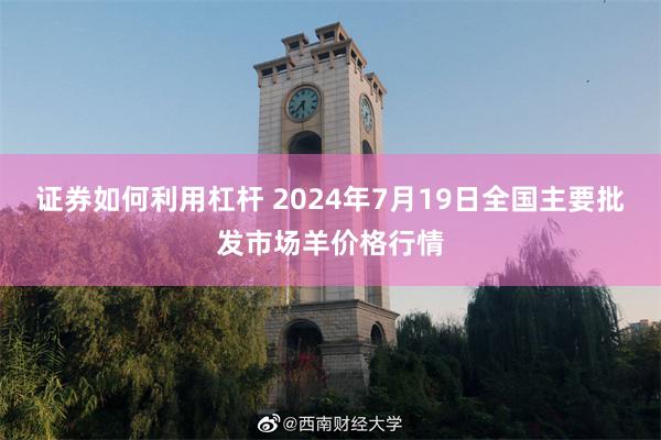 证券如何利用杠杆 2024年7月19日全国主要批发市场羊价格行情