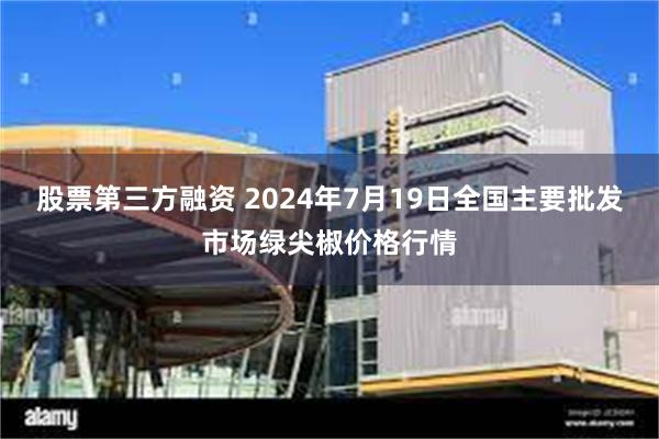 股票第三方融资 2024年7月19日全国主要批发市场绿尖椒价格行情