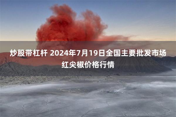 炒股带杠杆 2024年7月19日全国主要批发市场红尖椒价格行情