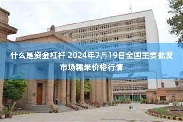 什么是资金杠杆 2024年7月19日全国主要批发市场糯米价格行情