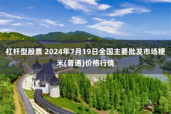 杠杆型股票 2024年7月19日全国主要批发市场粳米(普通)价格行情