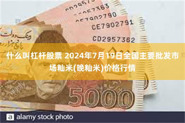 什么叫杠杆股票 2024年7月19日全国主要批发市场籼米(晚籼米)价格行情