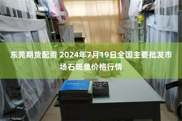 东莞期货配资 2024年7月19日全国主要批发市场石斑鱼价格行情