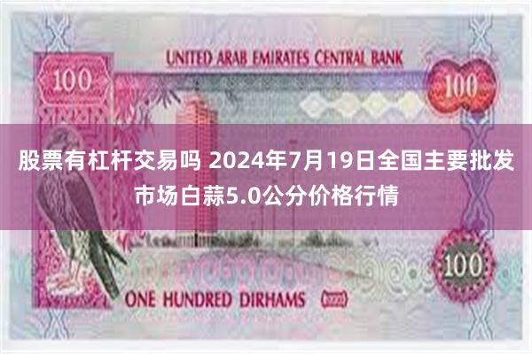 股票有杠杆交易吗 2024年7月19日全国主要批发市场白蒜5.0公分价格行情