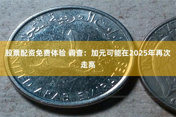 股票配资免费体验 调查：加元可能在2025年再次走高