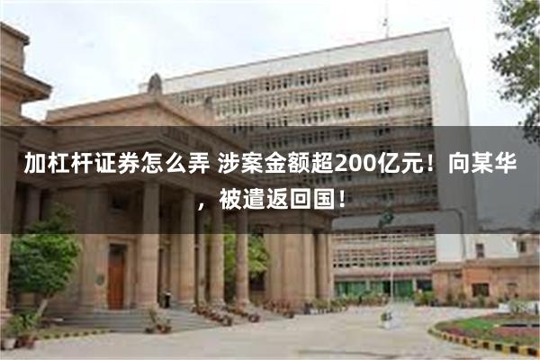 加杠杆证券怎么弄 涉案金额超200亿元！向某华，被遣返回国！