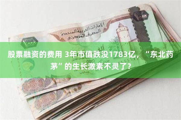 股票融资的费用 3年市值跌没1783亿，“东北药茅”的生长激素不灵了？