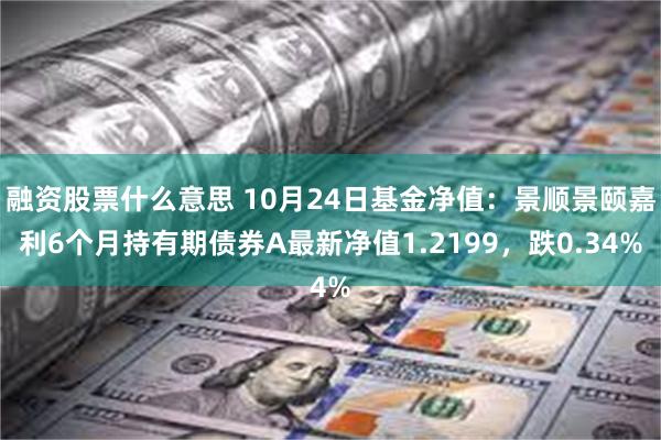 融资股票什么意思 10月24日基金净值：景顺景颐嘉利6个月持有期债券A最新净值1.2199，跌0.34%