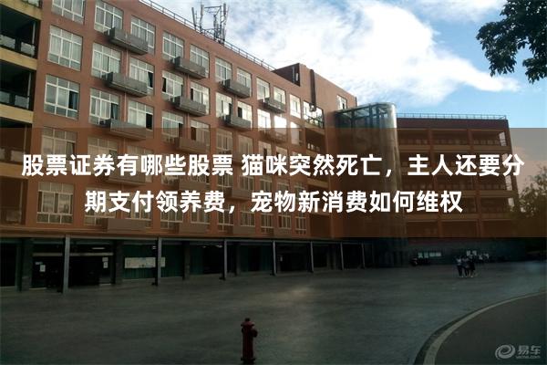 股票证券有哪些股票 猫咪突然死亡，主人还要分期支付领养费，宠物新消费如何维权