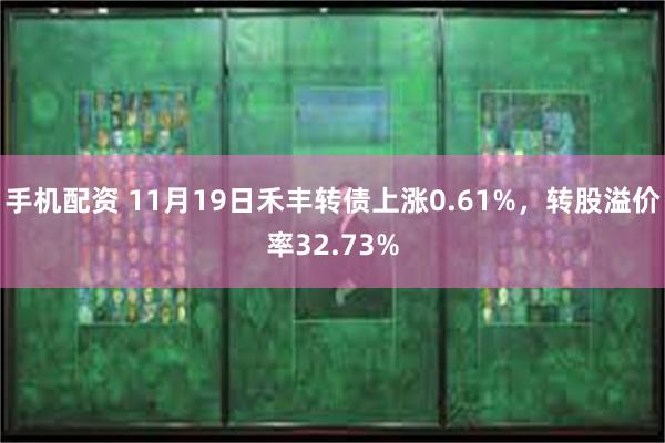 手机配资 11月19日禾丰转债上涨0.61%，转股溢价率32.73%