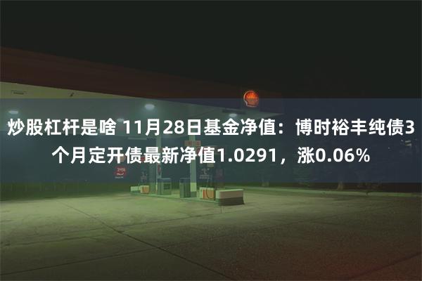 炒股杠杆是啥 11月28日基金净值：博时裕丰纯债3个月定开债最新净值1.0291，涨0.06%