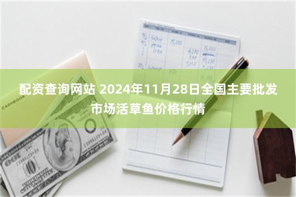 配资查询网站 2024年11月28日全国主要批发市场活草鱼价格行情