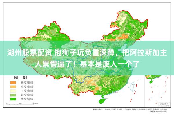 湖州股票配资 抱狗子玩负重深蹲，把阿拉斯加主人累懵逼了！基本是废人一个了