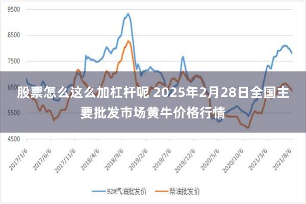 股票怎么这么加杠杆呢 2025年2月28日全国主要批发市场黄牛价格行情