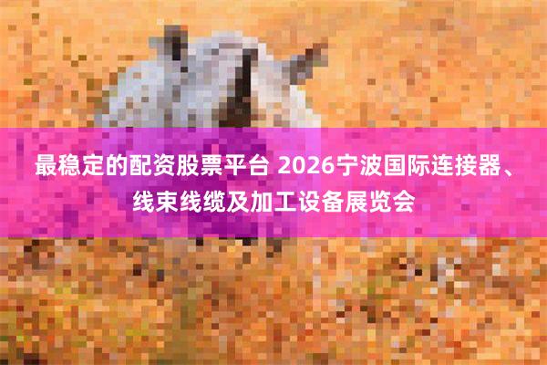 最稳定的配资股票平台 2026宁波国际连接器、线束线缆及加工设备展览会