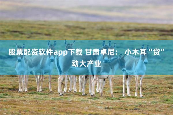 股票配资软件app下载 甘肃卓尼： 小木耳“贷”动大产业