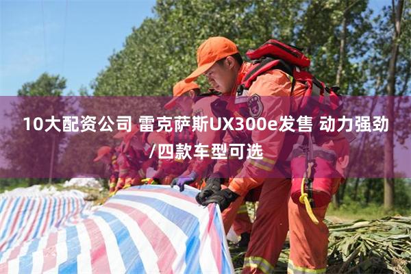 10大配资公司 雷克萨斯UX300e发售 动力强劲/四款车型可选